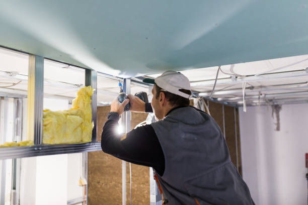 Best Residential Insulation in Arcola, IL